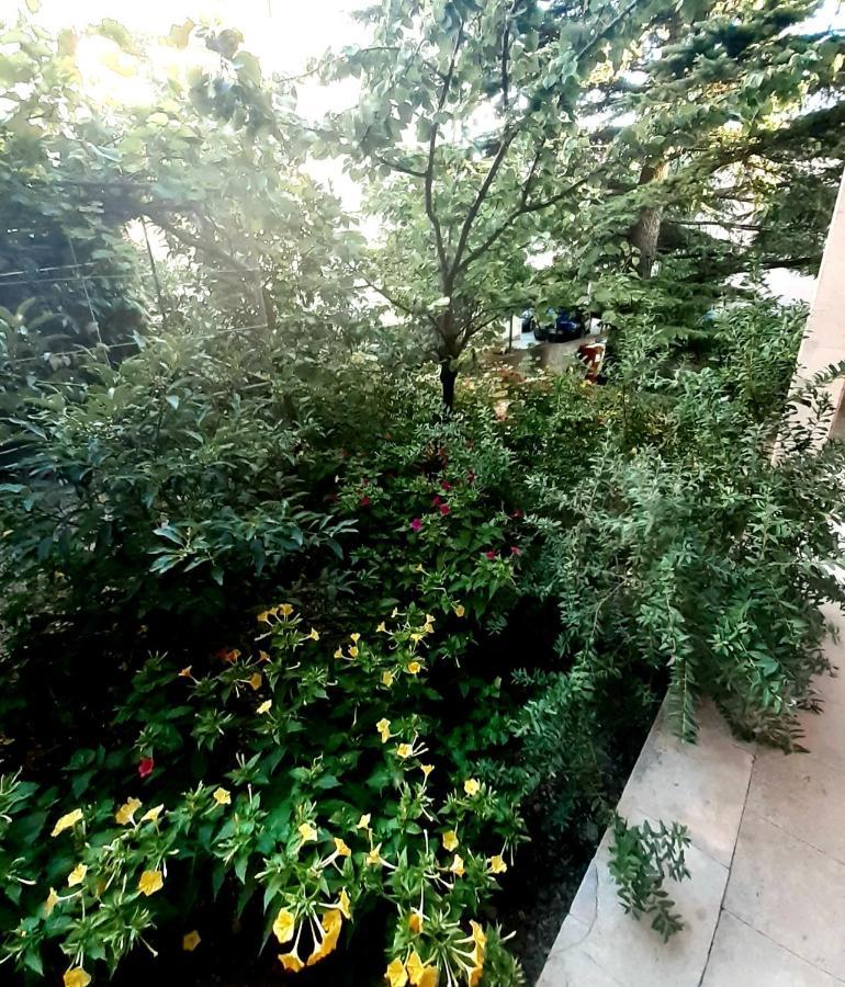 Villa Libe บาชกาโวดา ภายนอก รูปภาพ