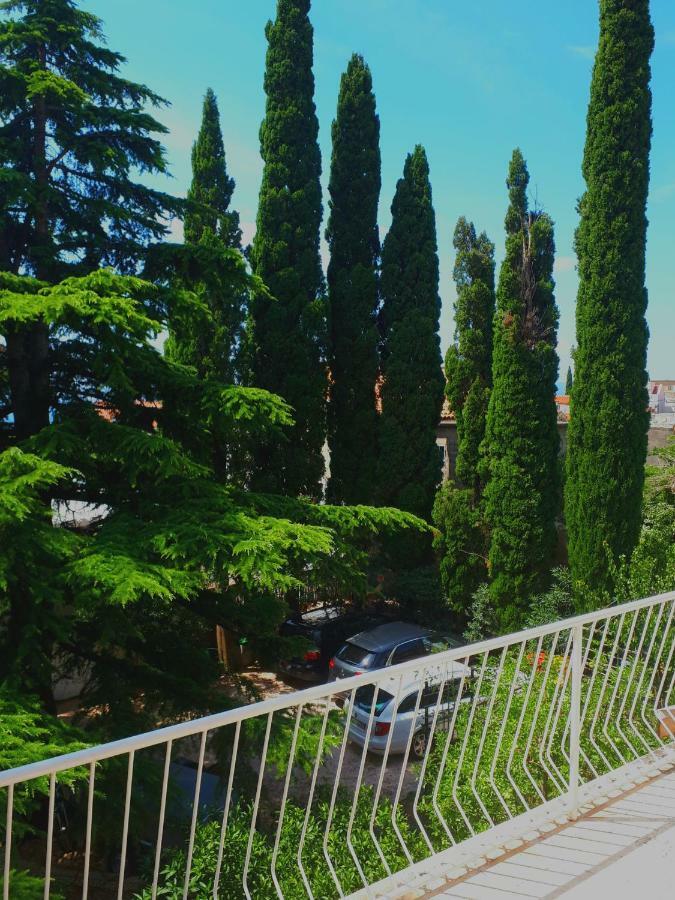 Villa Libe บาชกาโวดา ภายนอก รูปภาพ