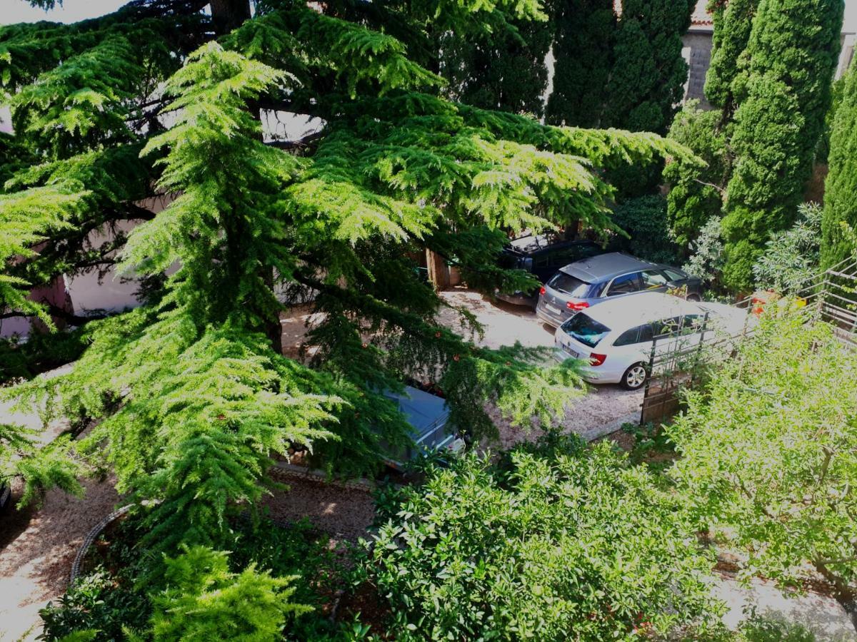 Villa Libe บาชกาโวดา ภายนอก รูปภาพ